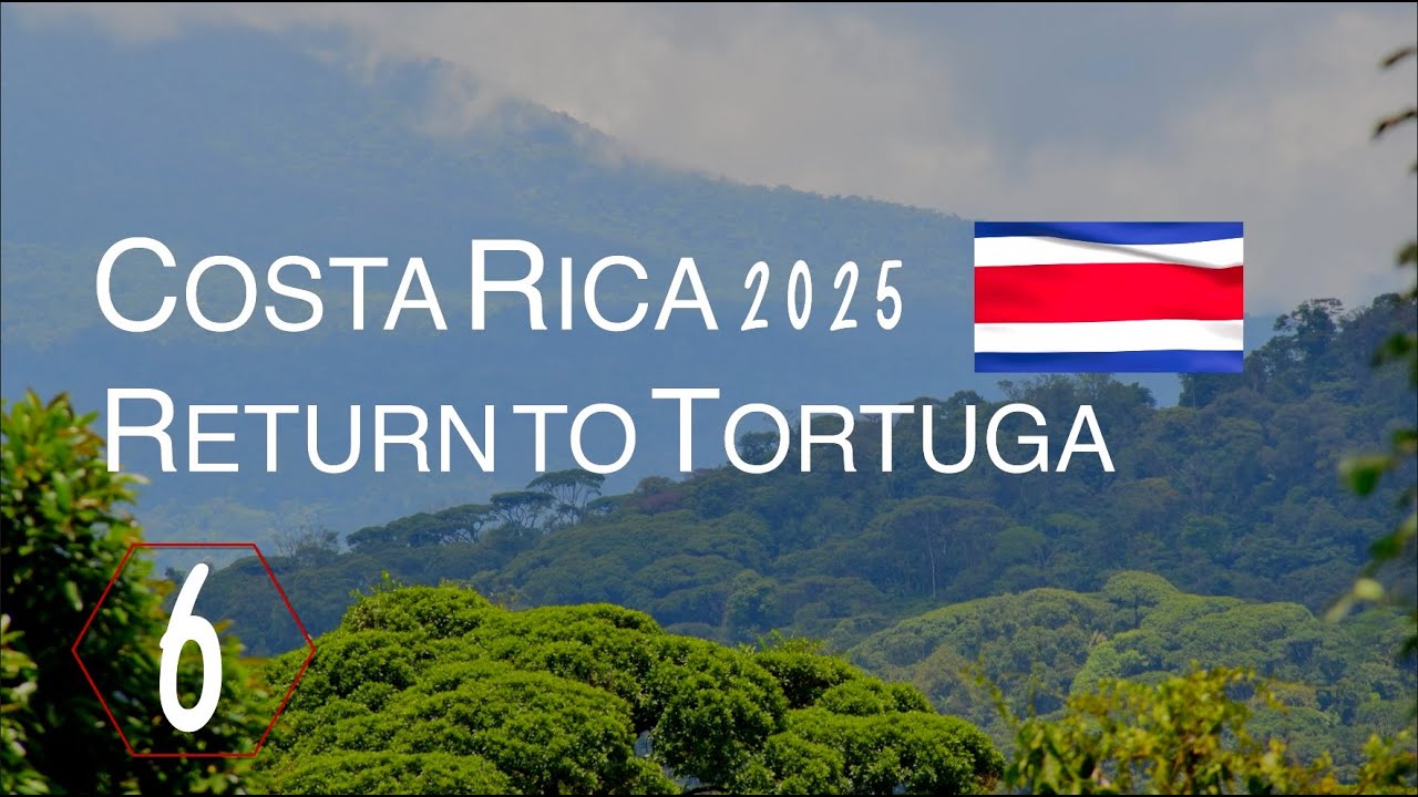 Costa Rica 2025 | Return to Tortuga