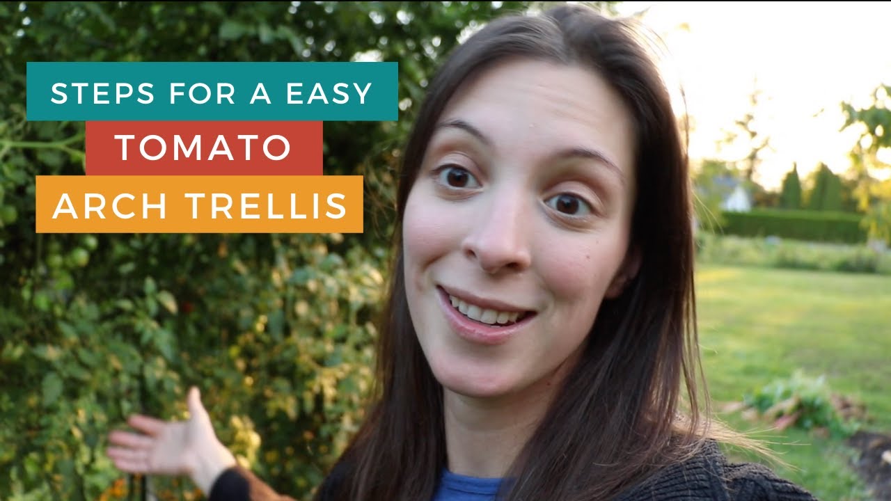 Garden Arch Trellis | Tomato Trellis Ideas | Cheap Arch Trellis | DIY Trellis