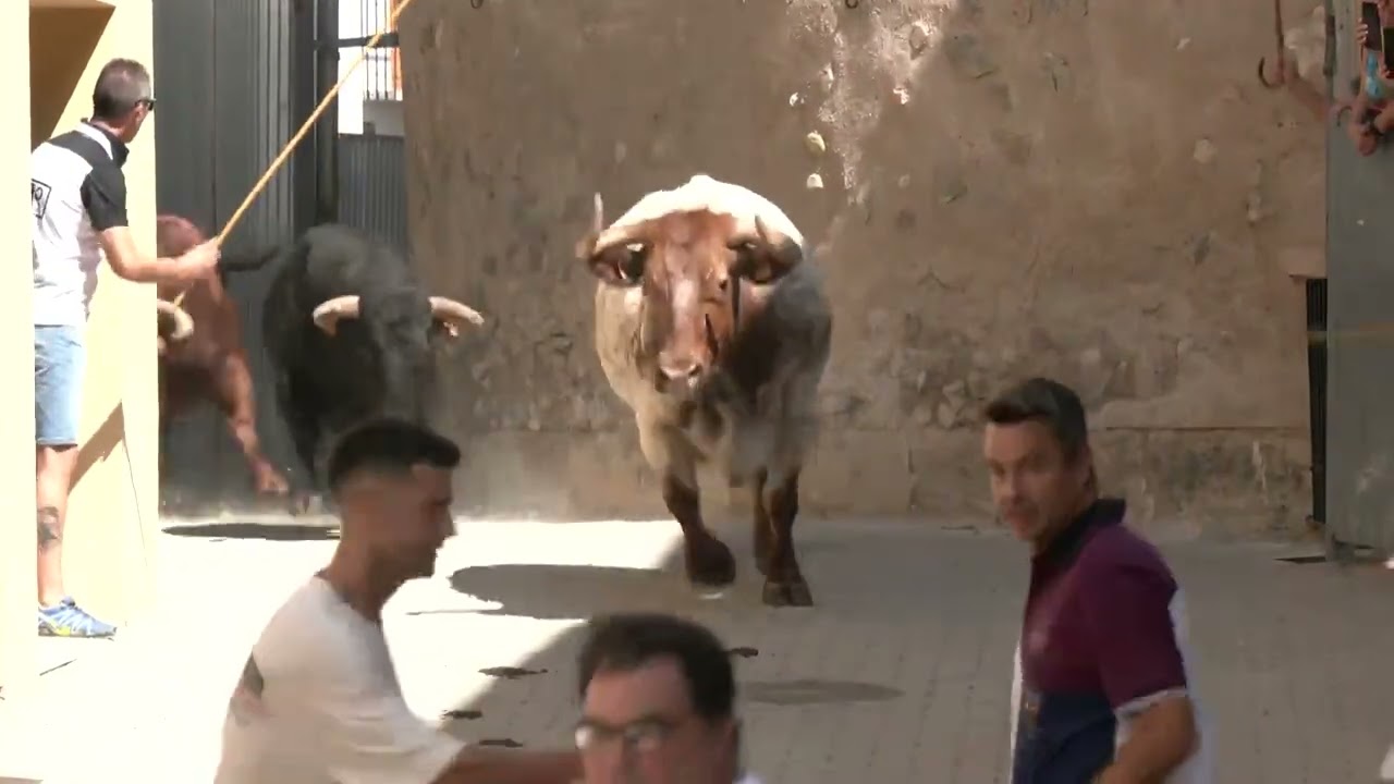 S&eacute;ptima Entrada de Toros y Caballos de Segorbe 2025 (14/09/2025)