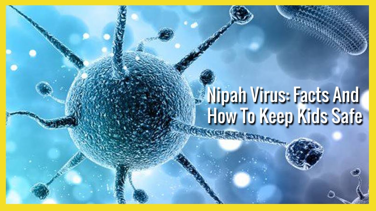 Nipah Virus: Facts and how to keep kids safe