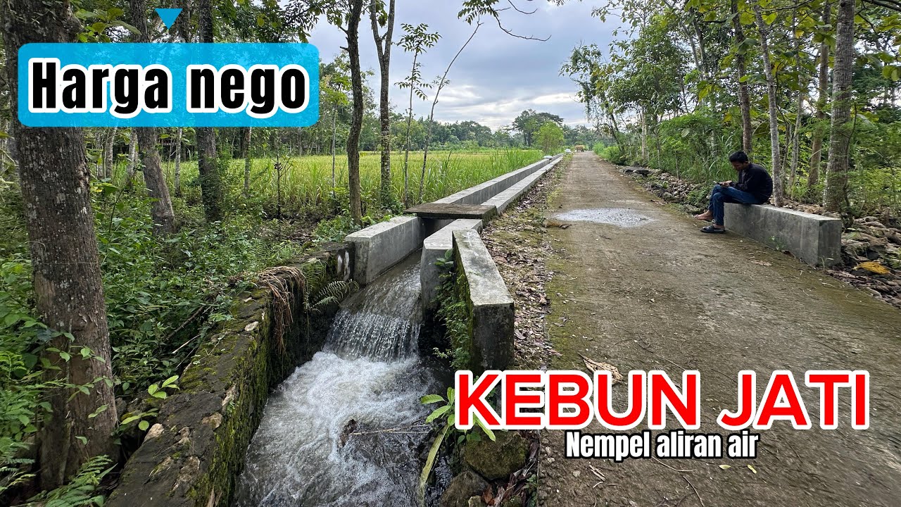 Dijual tanah kebun jati pemandangan sawah dan nempel saluran irigasi