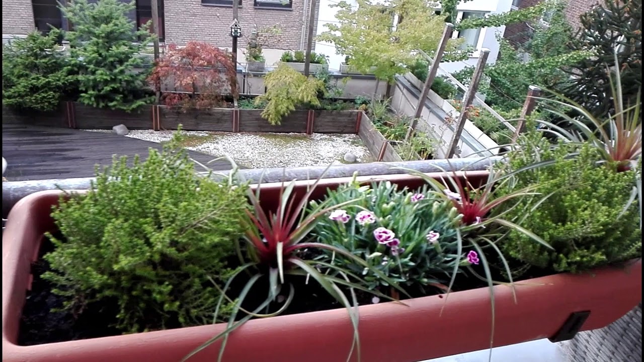 Na moim balkonie - centrum Neuss