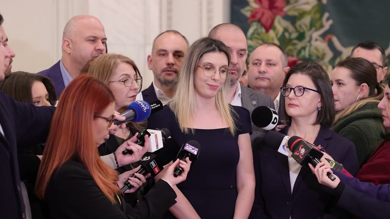 Ministra Diana Buzoianu, declarații de presă după Ora Guvernului