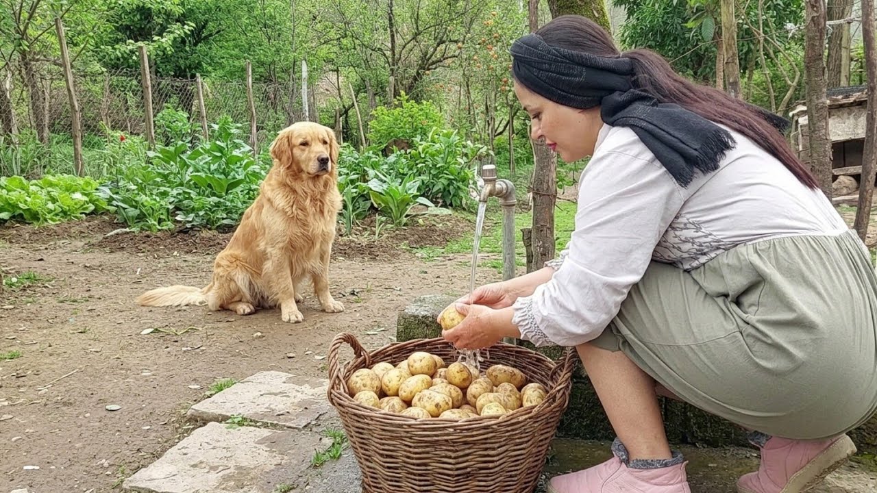 Rural Cooking in Iran | The Best Chicken Potato Salad