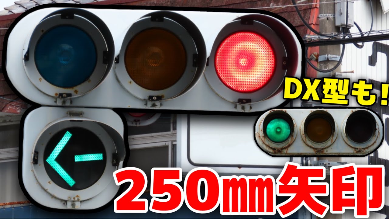 レアな250mm矢印を撮影！ NS DX型もあり豪華！