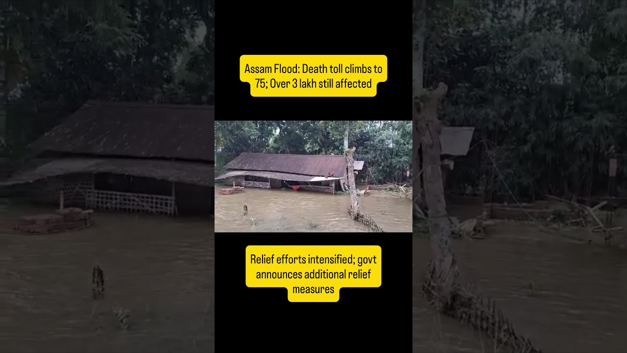 Assam flood: Death toll climbs to 75 #assam #assamflood #flood #deathtoll #naturalcalamity