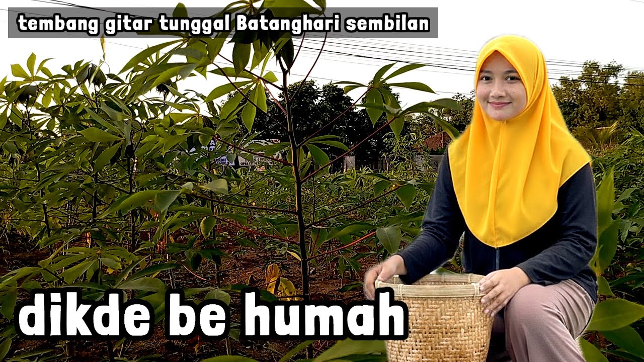 Gitar tunggal Batanghari sembilan DIDE BE HUMAH lagu daerah Sumsel