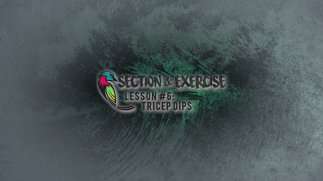 Tricep Dips Exercise - Homework Hub - Section 3 - Lesson 6 -