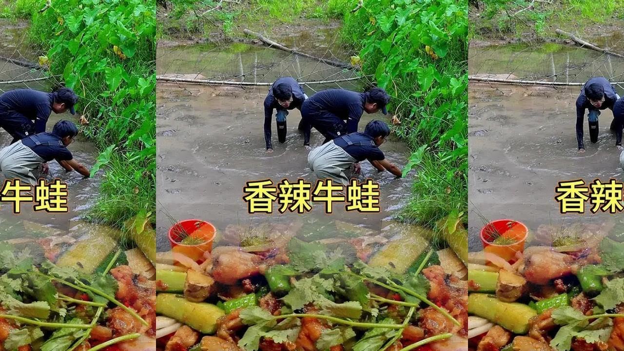 小梅想去抓牛蛙，阿锐怕小梅弄脏衣服不让去，阿锐却自己偷偷去抓...#我的乡村生活 #农村生活