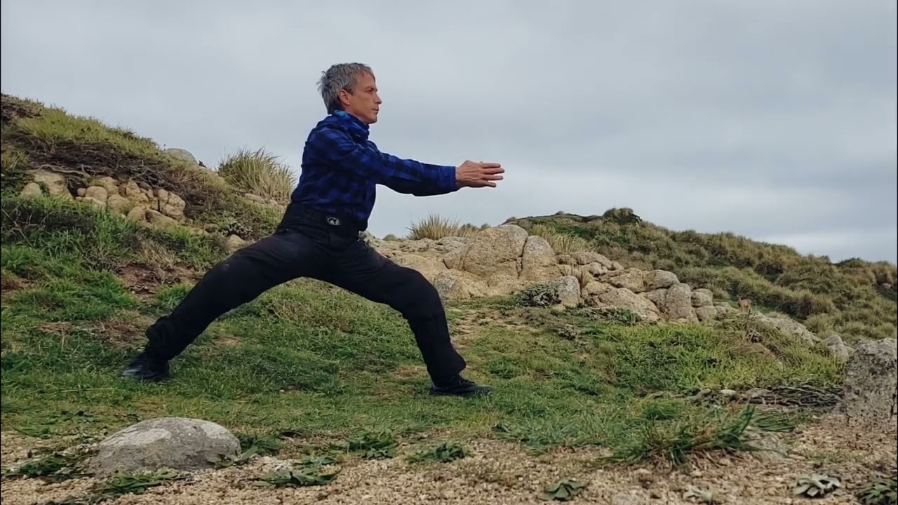 Tai chi qigong flow. And pacific ocean, deer, abandoned decaying boat. Nature.