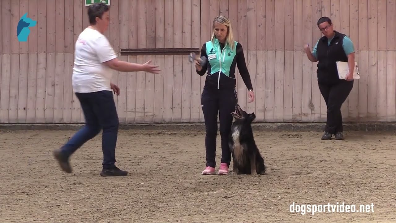 Qualification - Valentina Balli + Mind The Dog Lycan/Border Collie - Italy