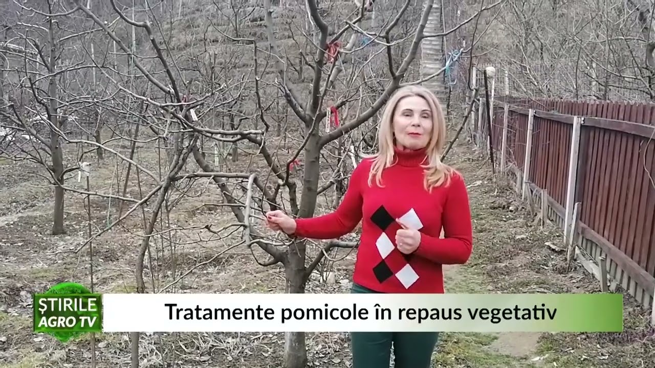 Tratamente pomicole in repaus vegetativ 21 03 2022