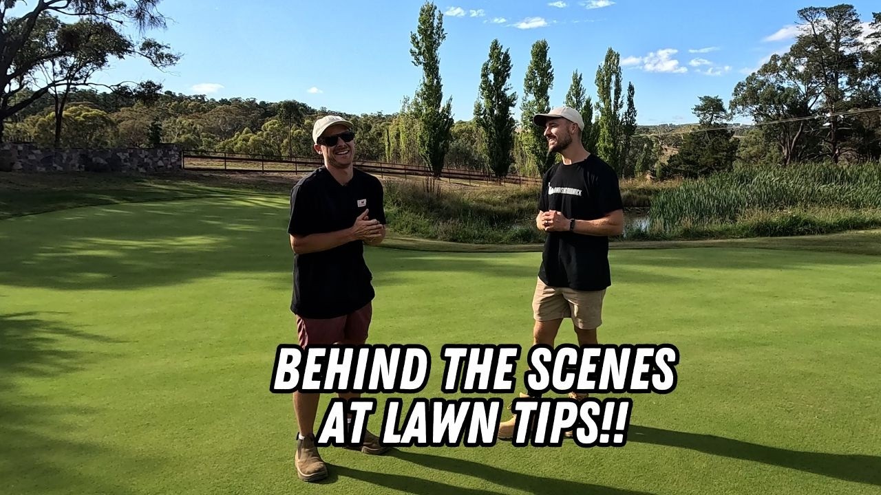 Масштабные проекты в штаб-квартире Lawn Tips!! Полная экскурсия с Беном.