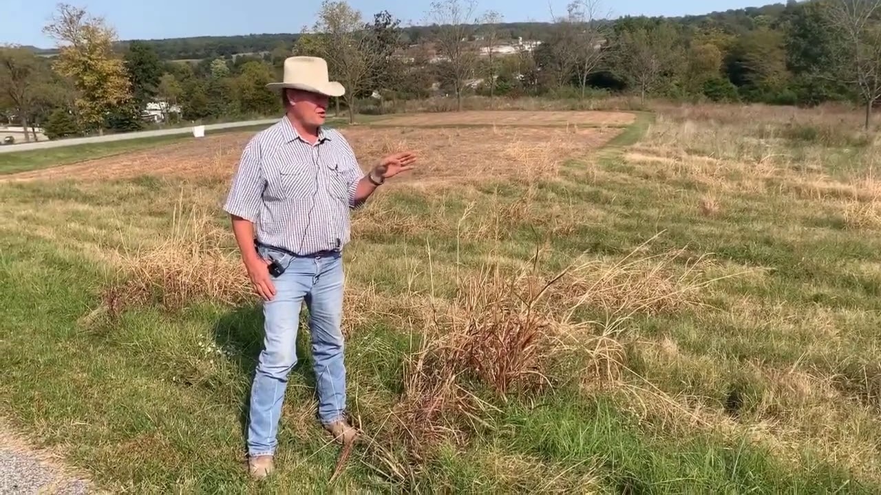 Weed Wiper Results on Johnson Grass