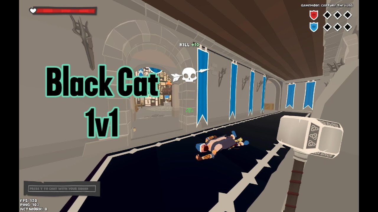 Narrow one 1v1 vs Black Cat