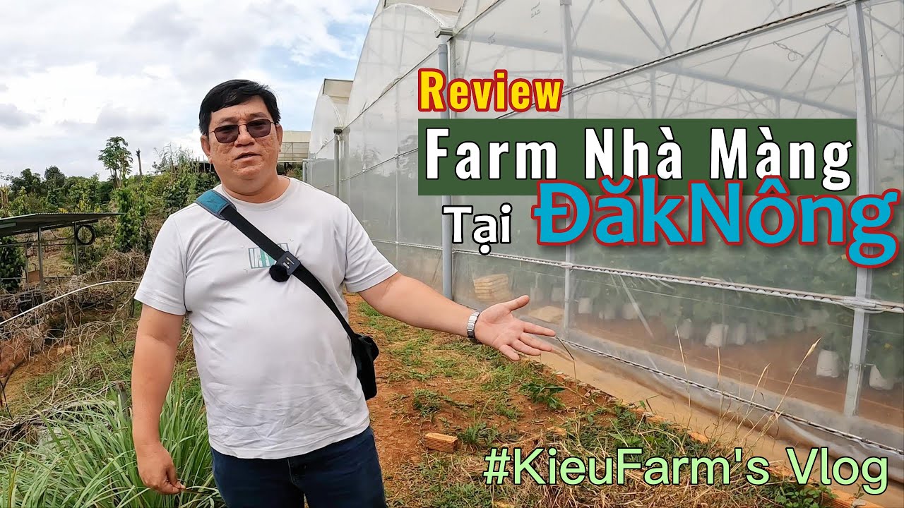 Review Farm Nhà Màng trồng Dưa Lưới tại Daknong do chính KieuFarm xây dựng | #KieuFarmVlog