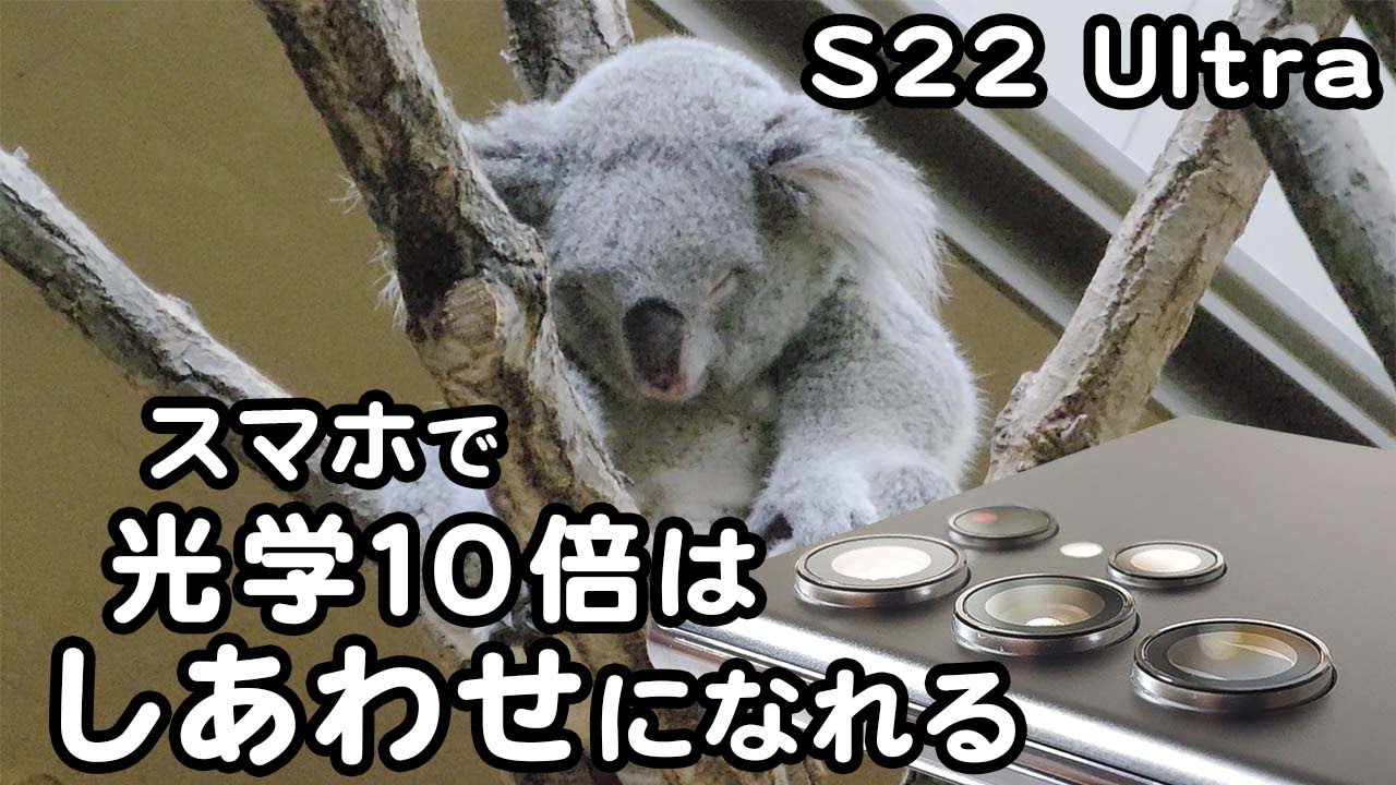 【スマホだけ】ここまで撮れる！動物園で動画撮影 Galaxy S22 Ultra レビュー