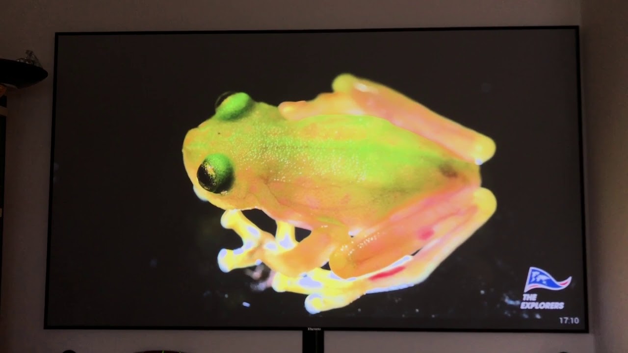 XY-Screen PET Crystal 90 Zoll + Fengmi 4k Laser Projektor