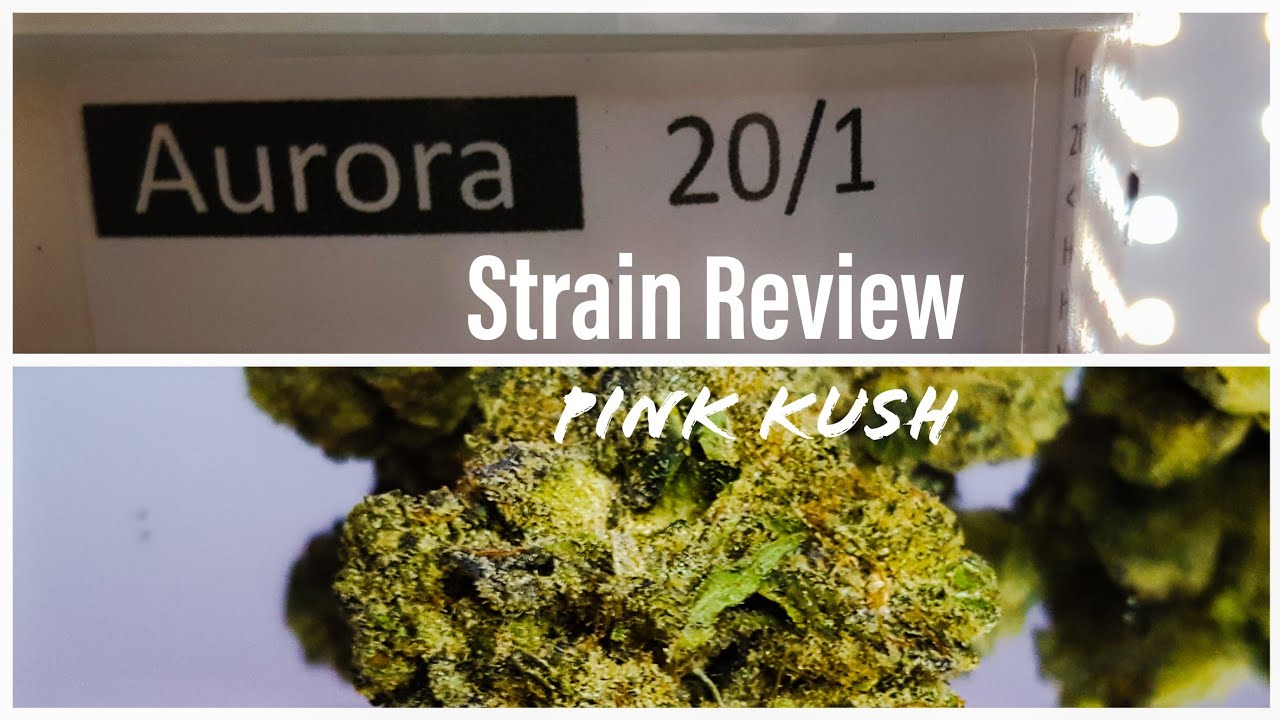 Medizinisches Cannabis Aurora 20/1 Pink Kush Indica