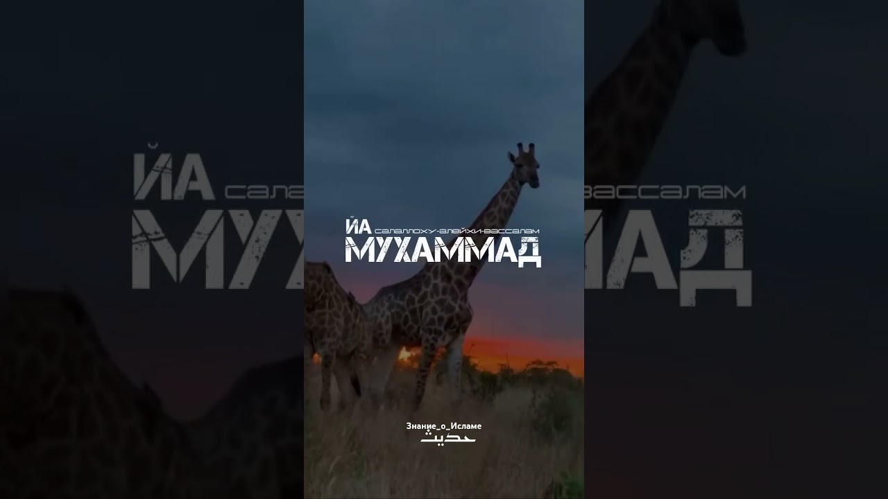 &laquo;Как шайтаны напали на пророка Мухаммада (мир ему) и как Джибриль спас его&raquo;