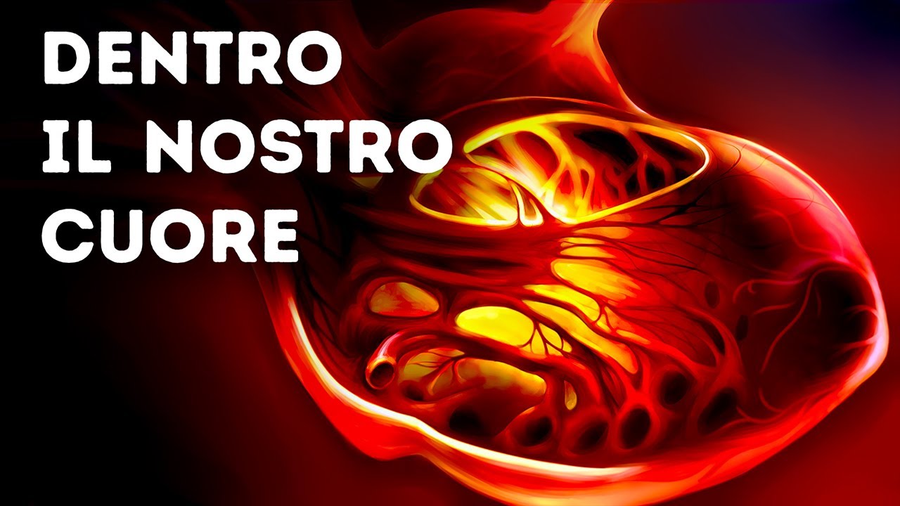 Il Tuo Cuore È Il Motore Più Potente Al Mondo