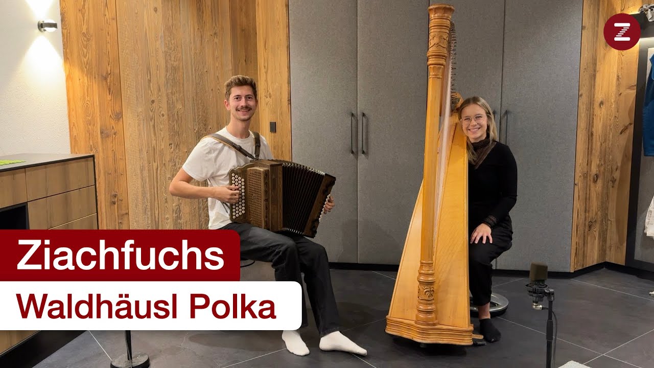 Waldh&auml;usl Polka - Steirische Harmonika & Harfe 😊🎶