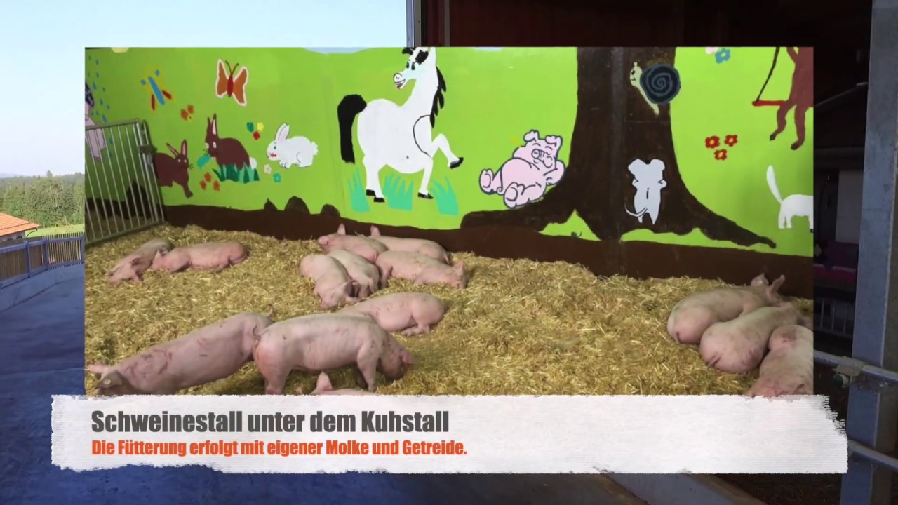 Bauernhof - Heumilch - Käserei - Hotel - Brauerei