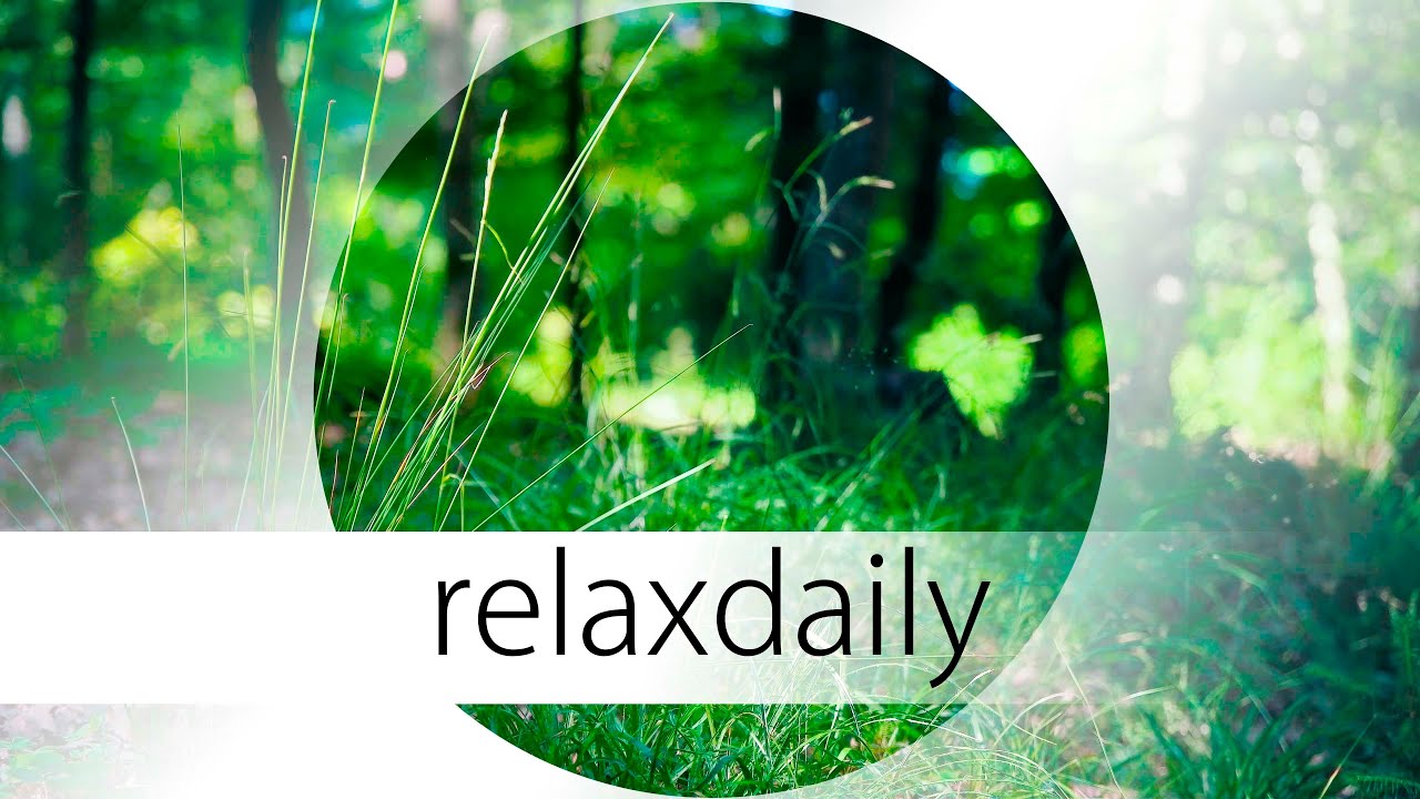 Slow and Peaceful Music - calm, reflective - N&deg;046 (4K)