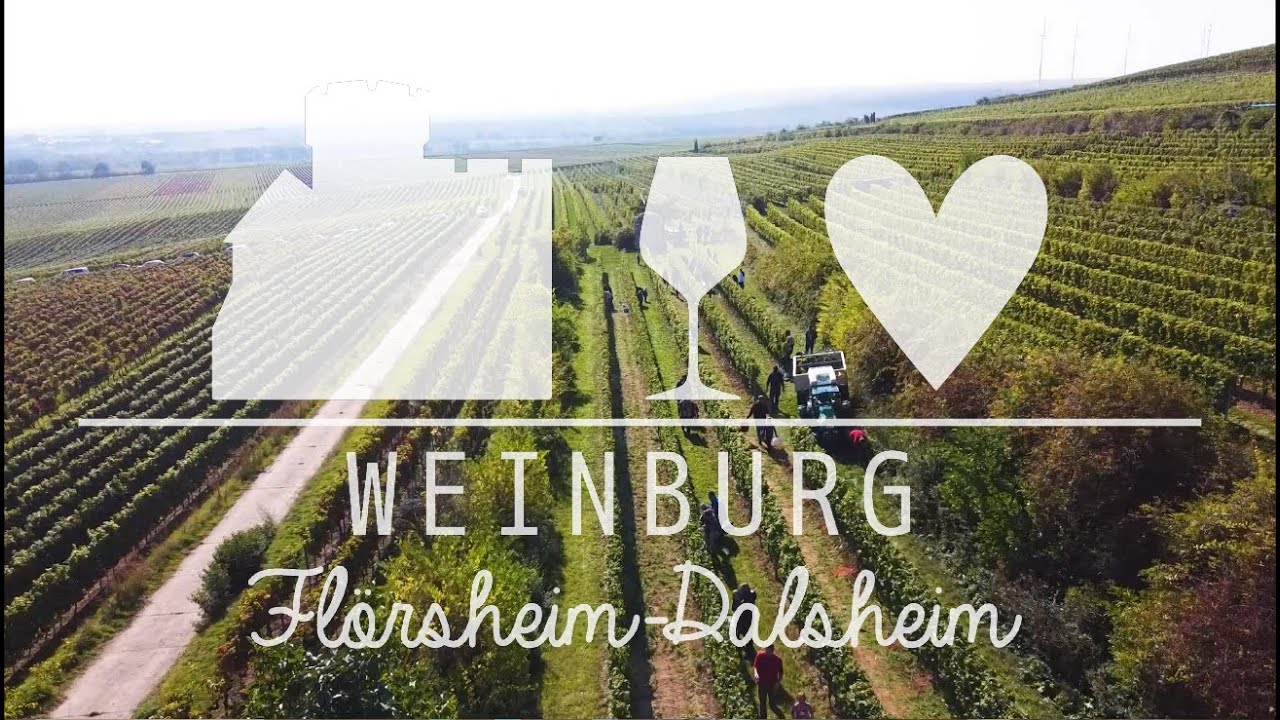Weingut Beyer-Bähr | Weinburg Flörsheim-Dalsheim [2021]