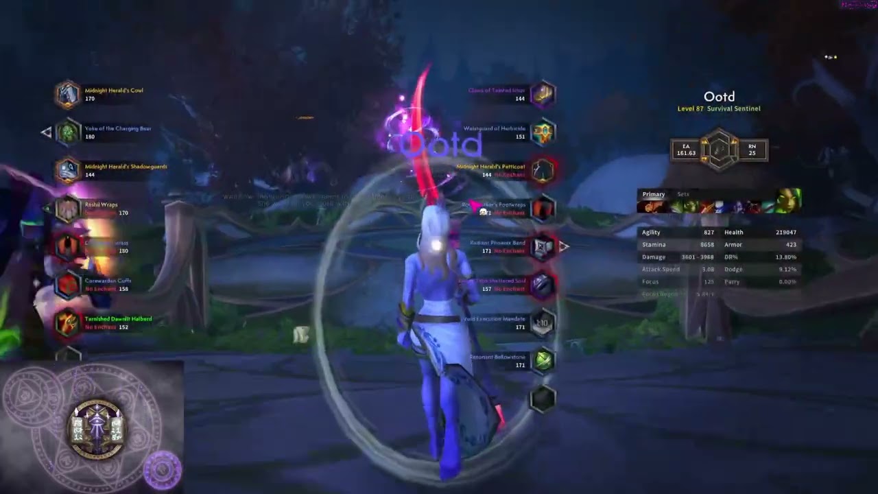 Quests | chills |  Leveling | Dungeon Hunter & Druid (Part 1/2)