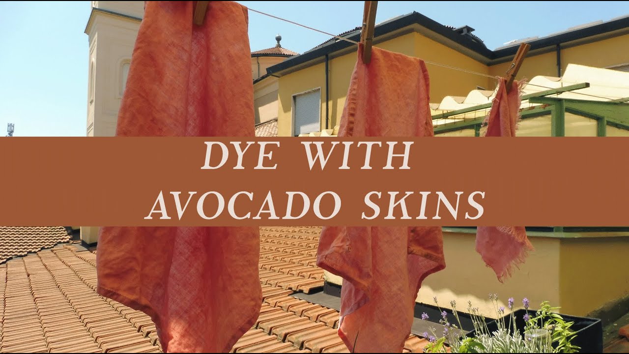AVOCADO SKIN | HOW to NATURAL DYE at HOME  | pink using avocado skins | BOTANICAL COLOURS|CasaCaribe