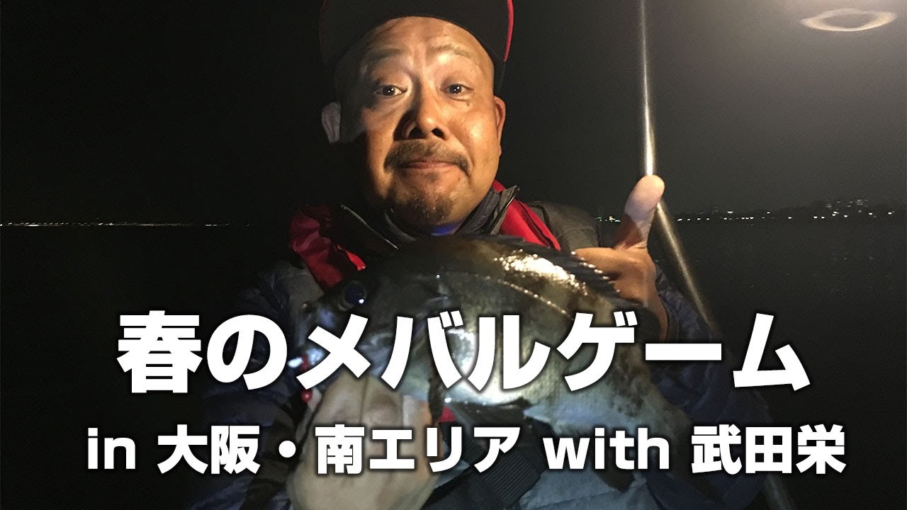 春のメバル釣りin大阪・南エリア with武田栄（MEBARU FISHING in Osaka Japan）