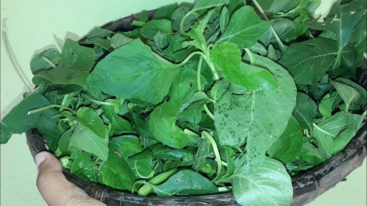 රස ගුන පිරි තම්පලා තෙම්පරාදුව