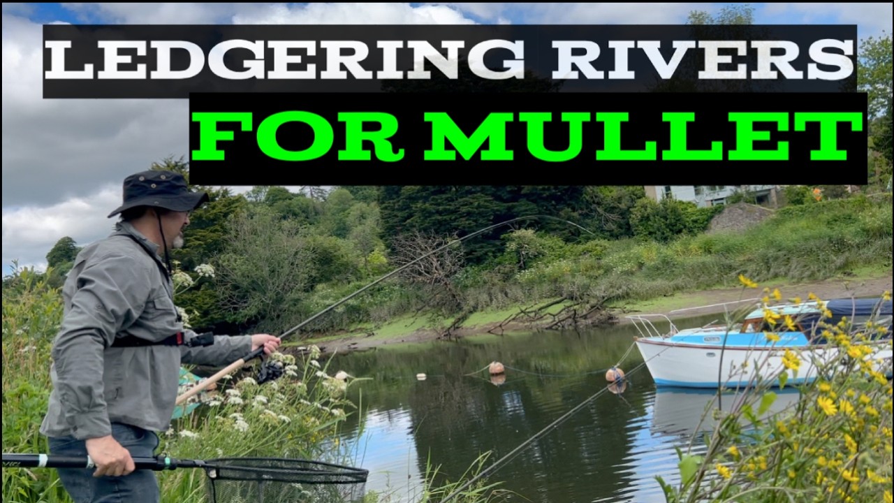 Mullet Fishing - Ledgering Rivers for Mullet