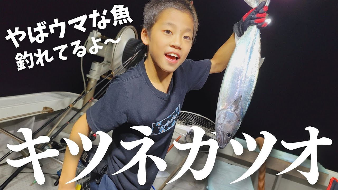 遊漁船、律丸（三重県）ハガツオ釣れてるよ～！漁師の父ちゃんに弟子入りして魚を釣りまくるッ！！skipjack tuna fishing／bonito