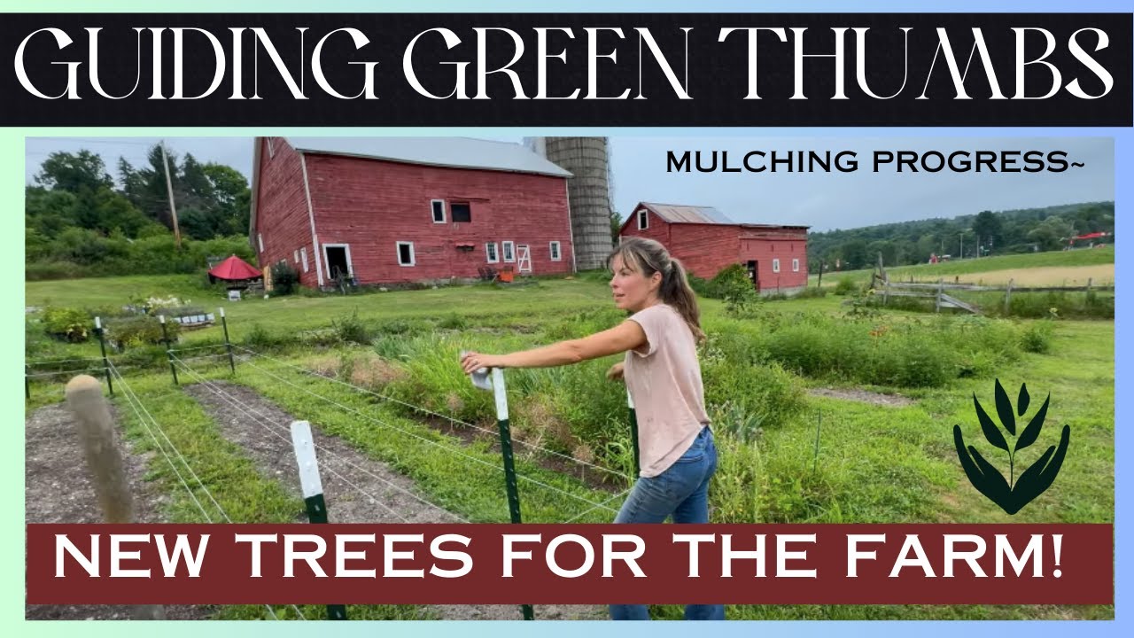 PLANTING NEW FRUIT TREES  // WEEDING //  MULCHING AT THE FARM