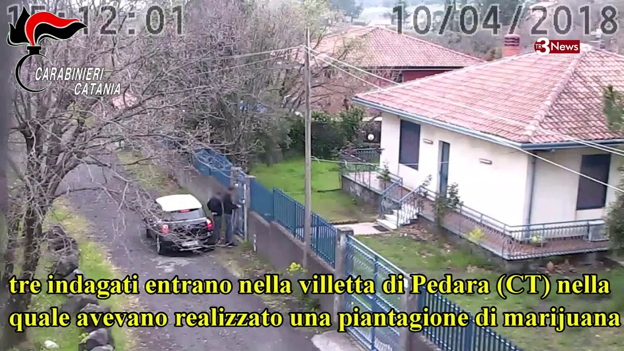 Mafia. Sgominato clan nel catanese: 38 arresti