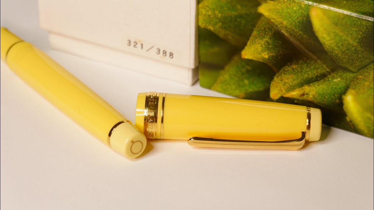 #9 [Eng sub] 세일러 프로페셔널 기어 두리안 만년필 언박싱 Fountain pen review - Sailor professional gear Durain unboxing