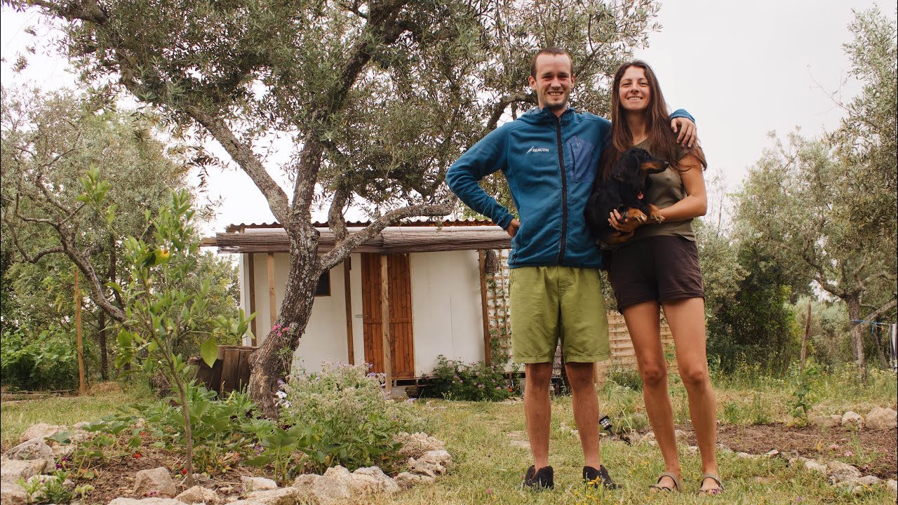 Living in a secluded olive grove 🌱🫒 Building our dream life in Portugal 🌞🌻🦎
