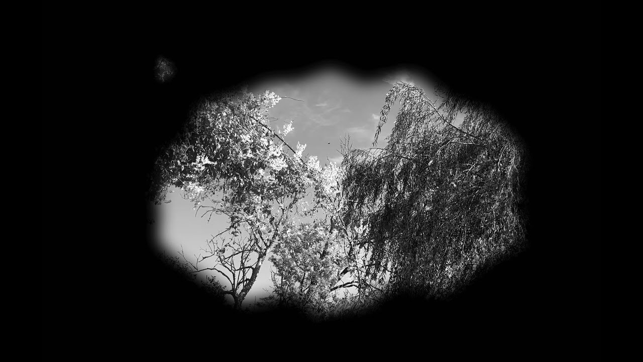 fragility and fragment - shortfilm poem - clementine couchet
