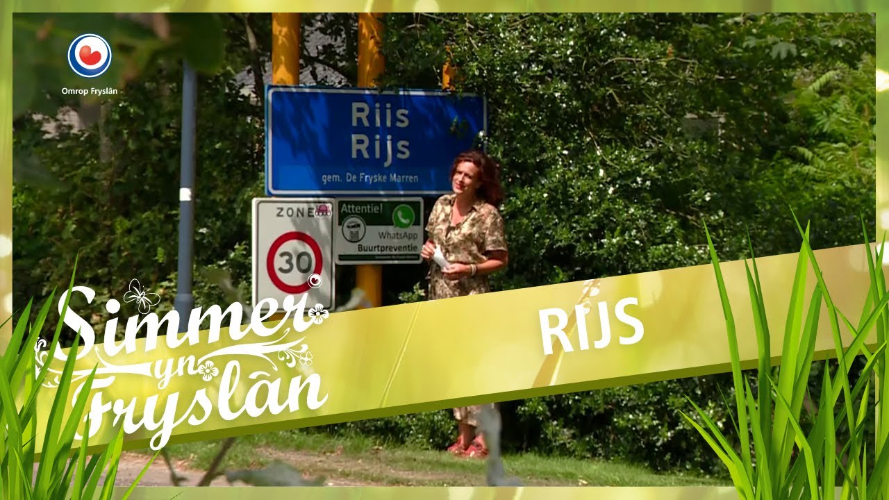 SIMMER YN FRYSLAN: Rijs