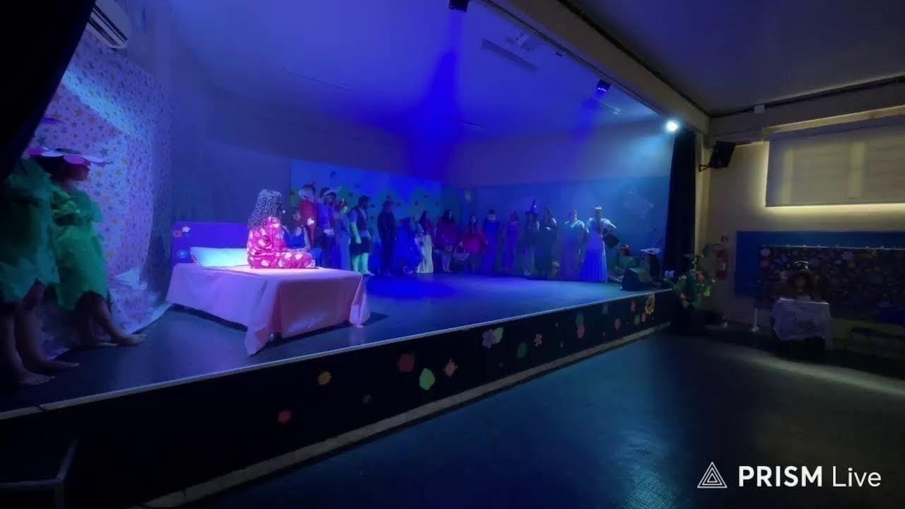 Transmiss&atilde;o ao vivo de JORNAL PAV NEWS