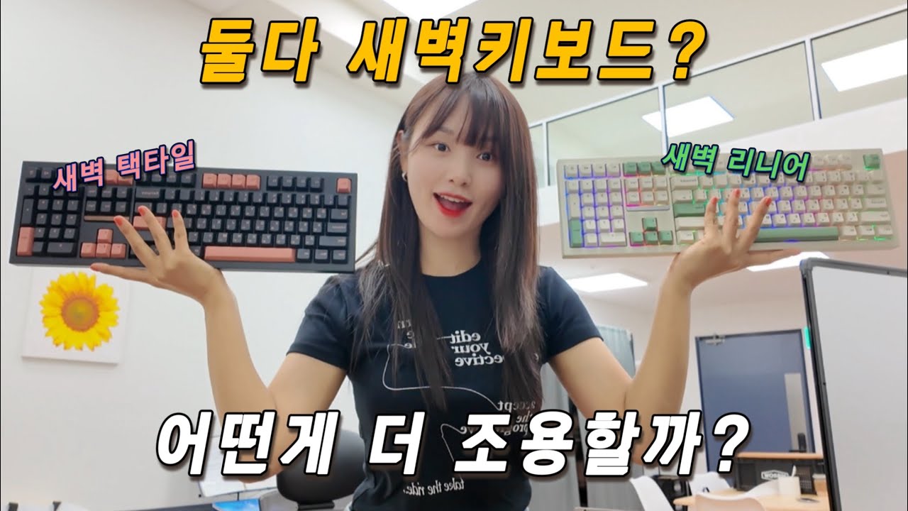 [비교] 리니어 vs 택타일｜어떤 키보드 소리가 더 조용할까? #아라키보드