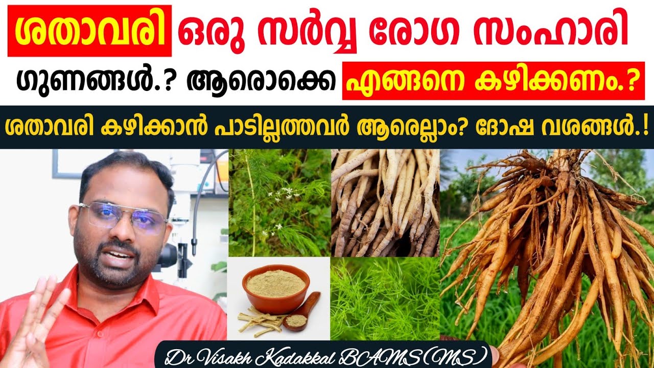ശതാവരി ( Asparagus or shathavari ) ഗുണങ്ങൾ, സൈഡ് ഇഫക്ടുകൾ, ഉപയോഗരീതി, ഇത് കഴിക്കാൻ പാടില്ലാത്തവർ
