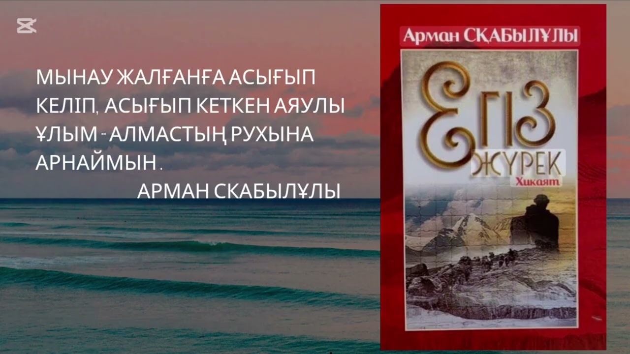 Егіз жүрек. Арман СКАБЫЛұлы. 
