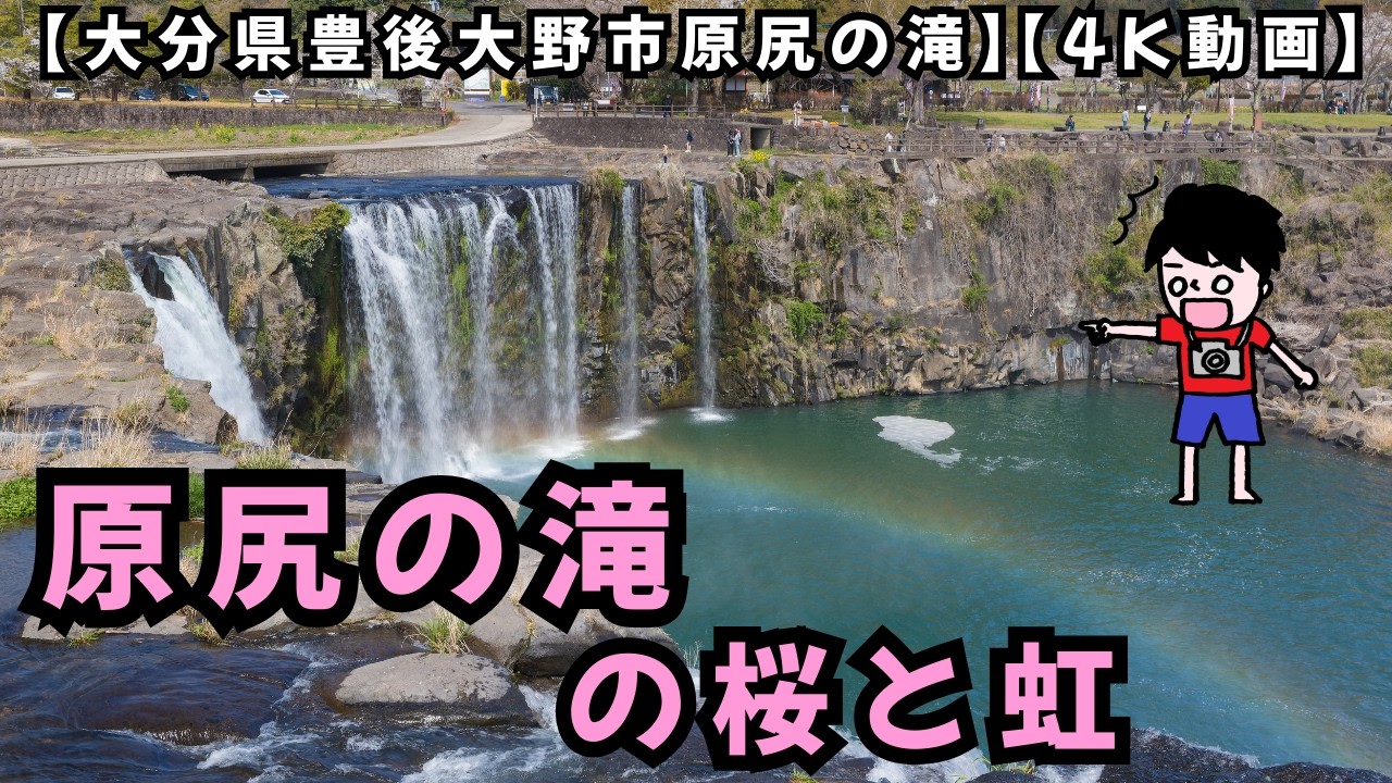 【4K】原尻の滝に架かる虹と桜 | 4K動画 | 大分県豊後大野市原尻の滝