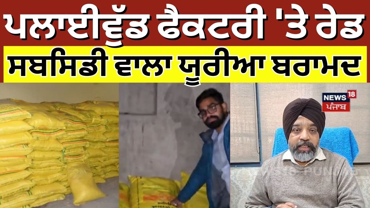 Ludhiana News | ਪਲਾਈਵੁੱਡ ਫੈਕਟਰੀ 'ਤੇ ਰੇਡ, ਸਬਸਿਡੀ ਵਾਲਾ ਯੂਰੀਆ ਬਰਾਮਦ | Latest News | N18V