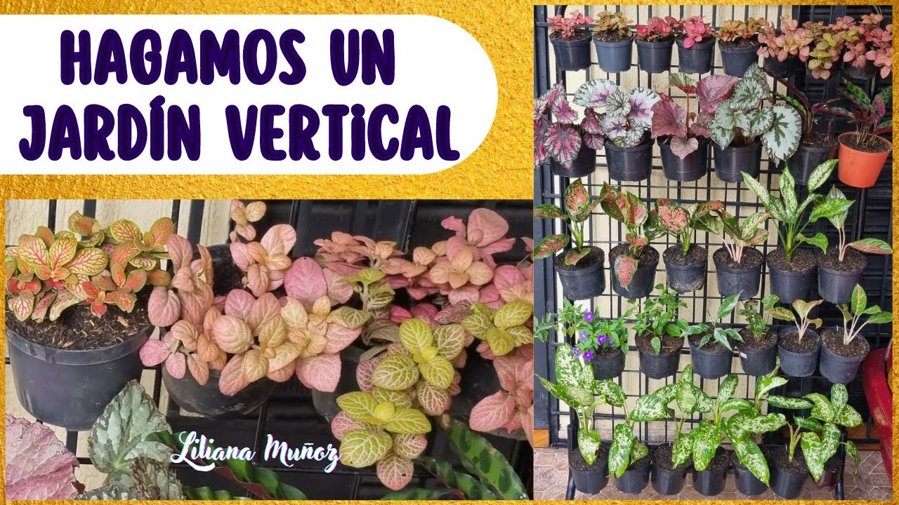 HAGAMOS UN JARDÍN VERTICAL 33 plantas en el/ Liliana Muñoz