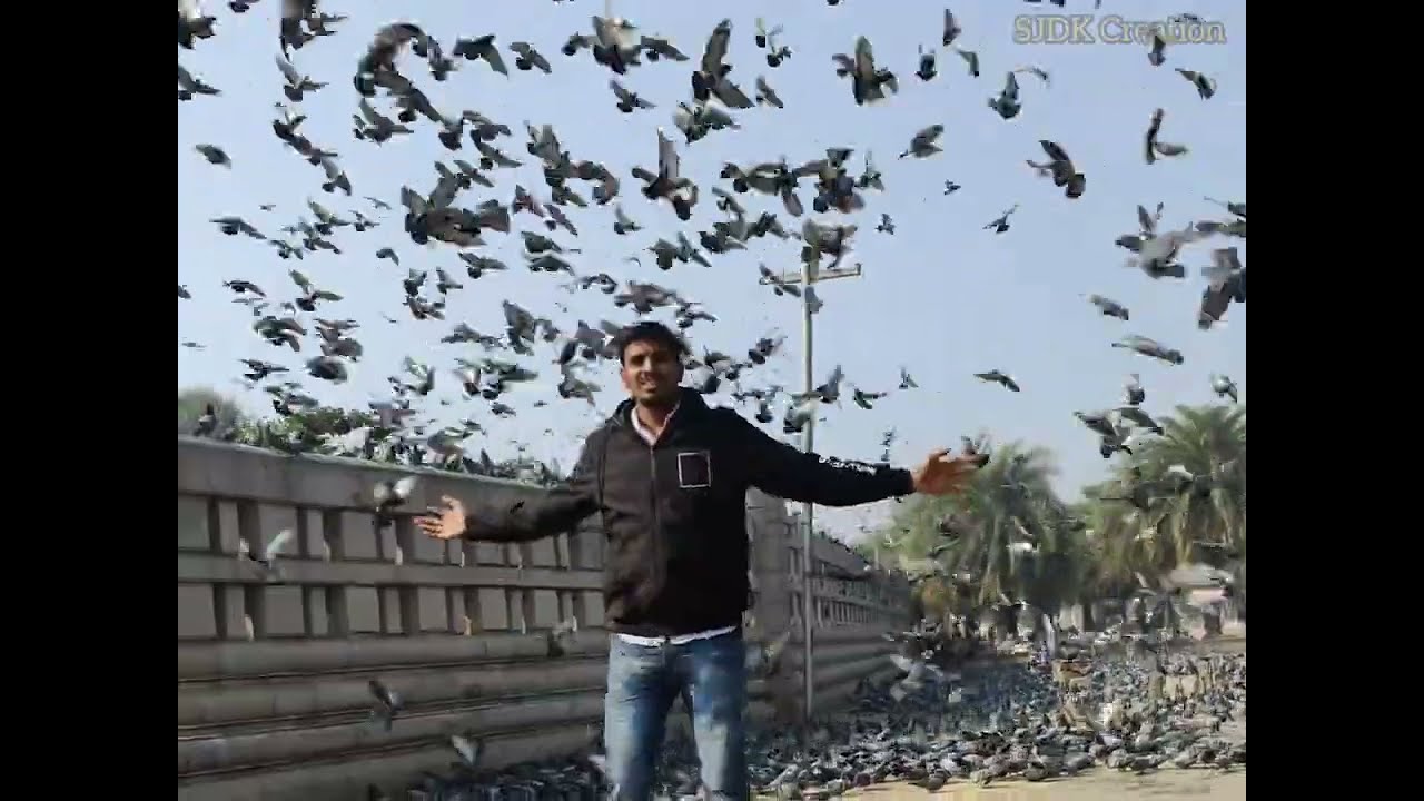 Nature vlog । Noida vlog । My first Vlog #vlogger