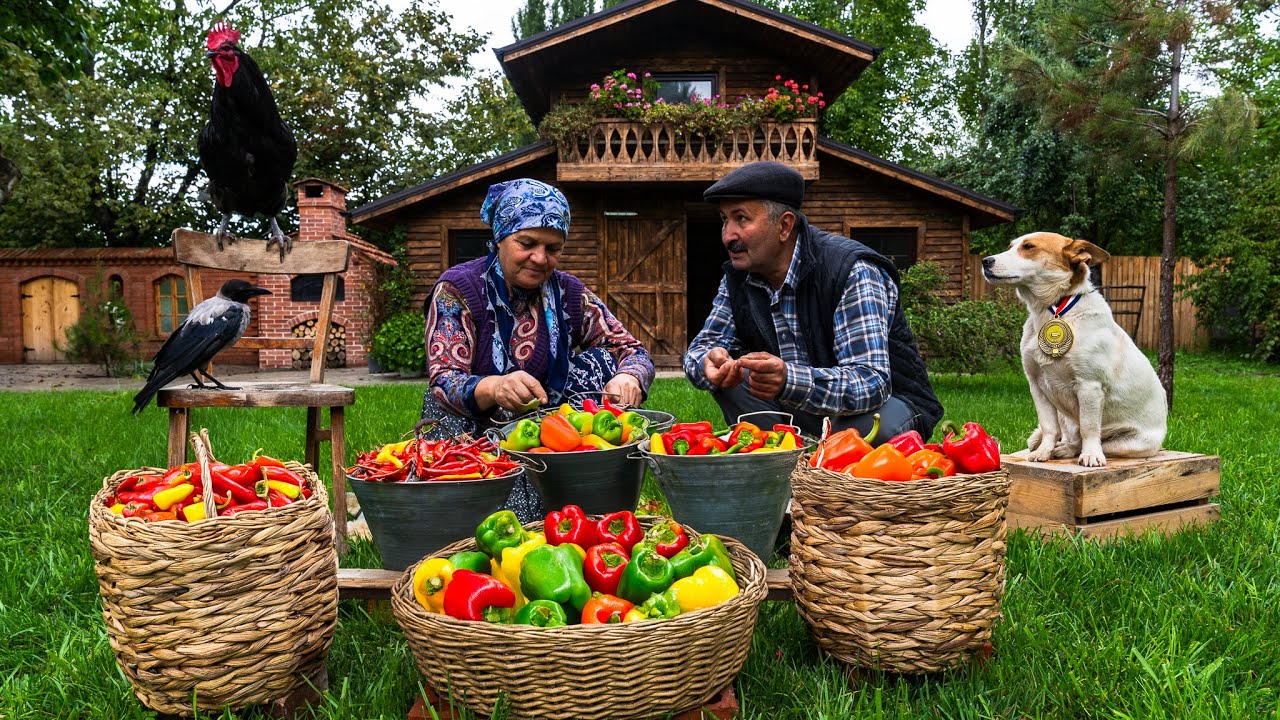 🌶️ Урожай Перцев: Приготовление Деревенской Перцовой Пасты